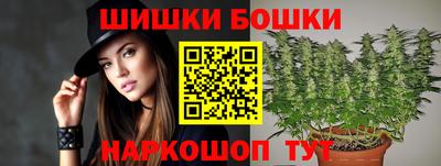 гашик Шали
