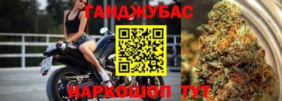 гашик Шали
