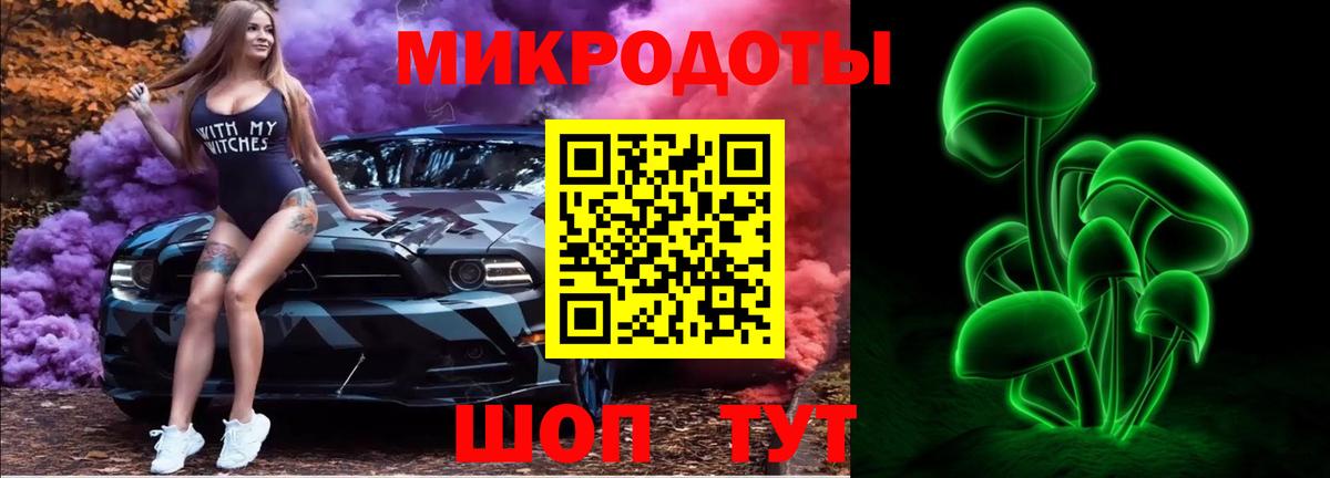 Галлюциногенные грибы Psilocybe Джанкой